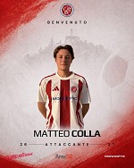 Colla Colla